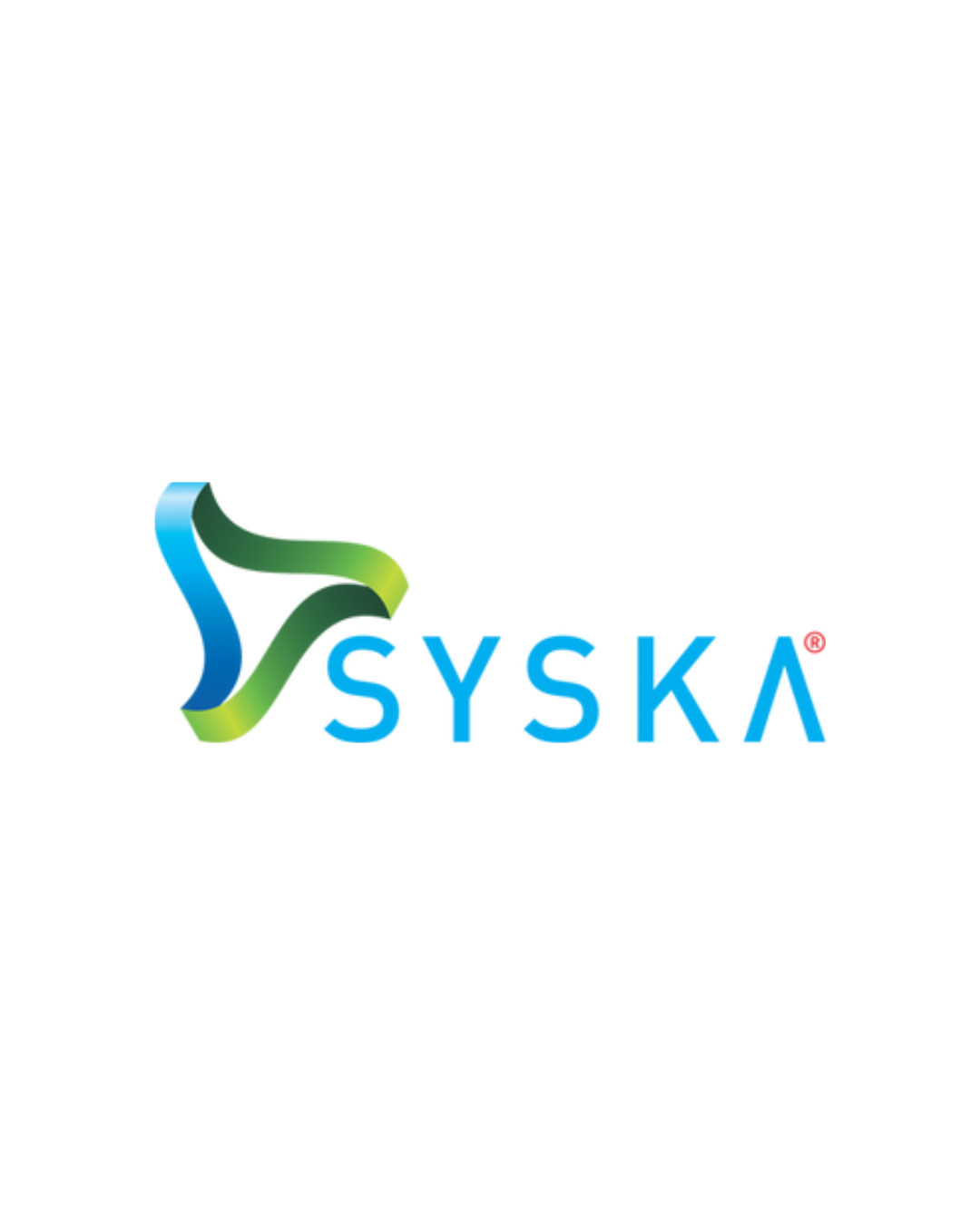 Syska - Electronics brand managed by SW Cybernetics for e-commerce marketplace success